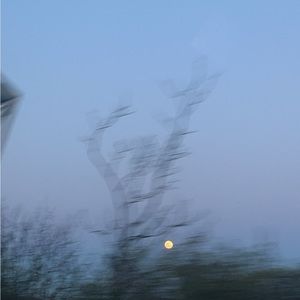 meet your posher, caleigh!